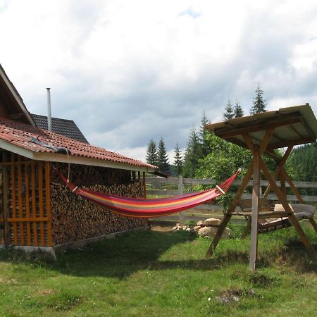 Podina Guest House Poiana Horea Exterior photo