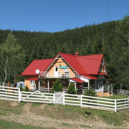 Podina Guest House Poiana Horea Exterior photo