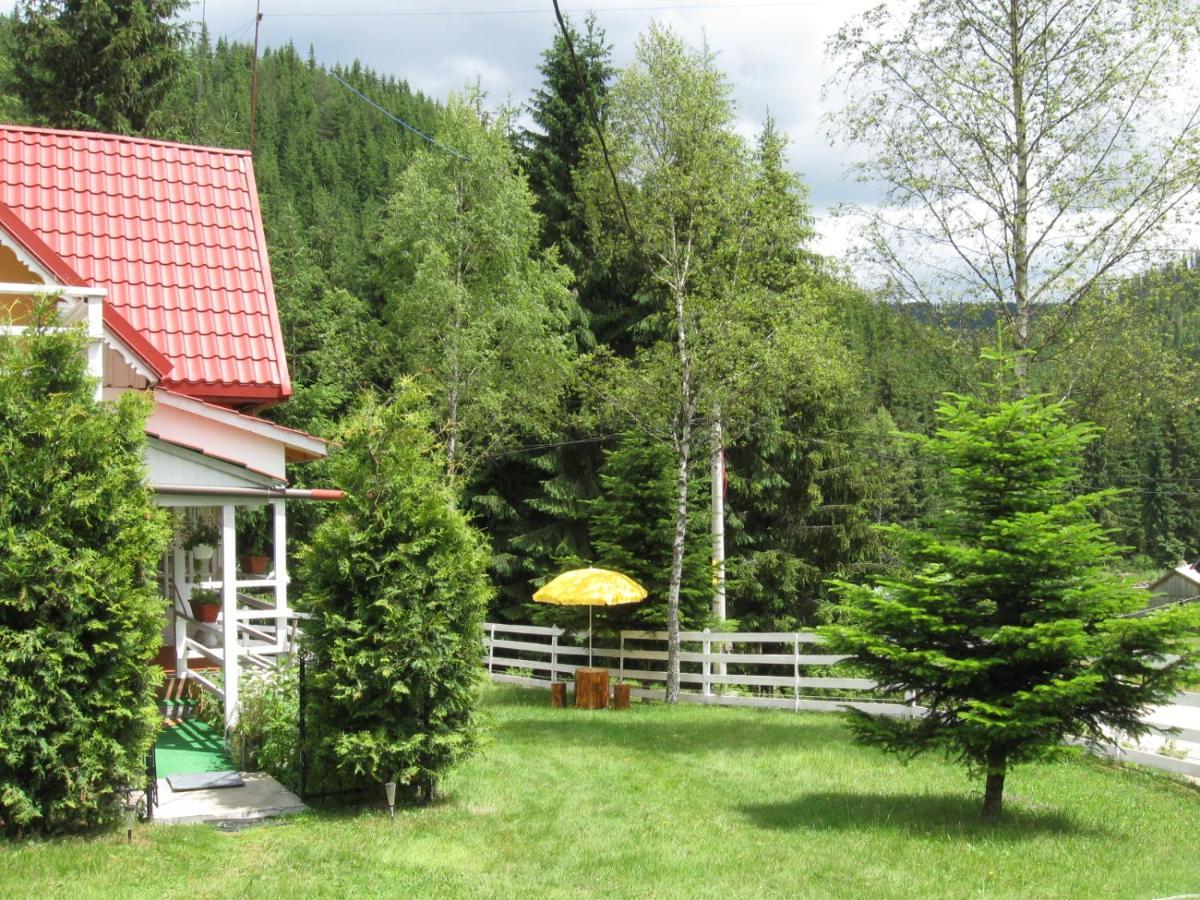 Podina Guest House Poiana Horea Exterior photo