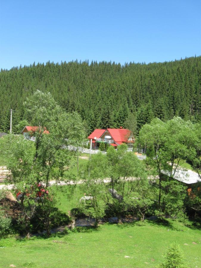 Podina Guest House Poiana Horea Exterior photo