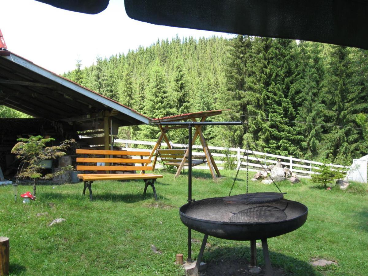 Podina Guest House Poiana Horea Exterior photo