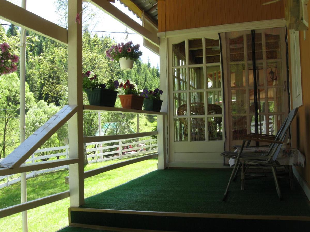 Podina Guest House Poiana Horea Exterior photo