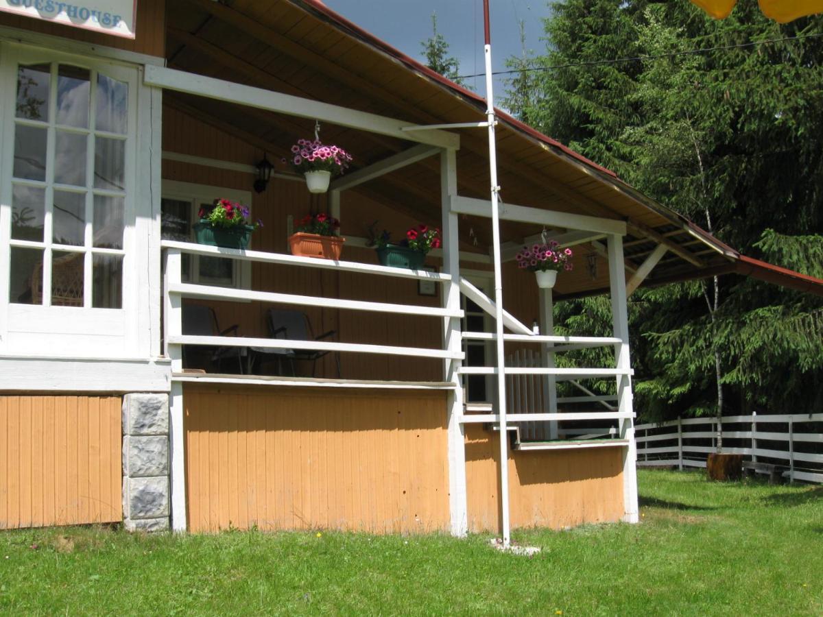 Podina Guest House Poiana Horea Exterior photo